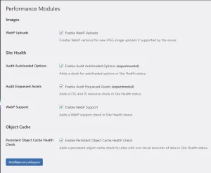Perfomance-lab-settings performance-lab-wordpress-plugin-settings