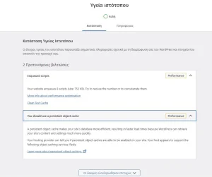 perfomance lab site health report Wordpress plugin perfomance lab site health report
